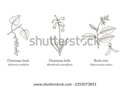Collection of ornamental and medicinal plants. Hand drawn botanical vector illustration