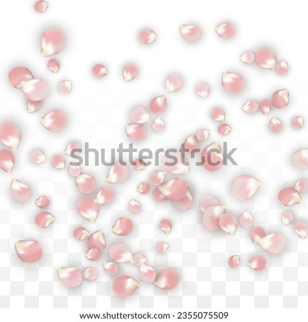 Pink Vector Realistic Petals Falling on Transparent Background.  Spring Romantic Flowers Illustration. Flying Petals. Sakura Spa Design. Blossom Confetti. Design Elements for  Mother's Day.