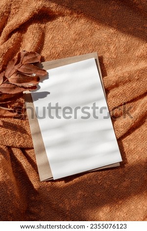 Blank paper postcard and envelope, brown dried fall leaf on knitted orange, rust color cloth background with natural sunlight shadows. Autumn, fall congratulation card or invitation template. Royalty-Free Stock Photo #2355076123