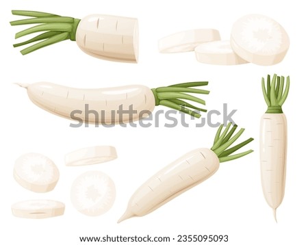 Daikon radish with green stem. Horseradish rhizome plant. Royalty-Free Stock Photo #2355095093