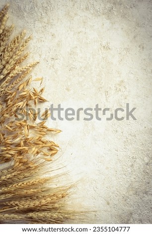 Vertical background with wheat grains and vignetting. Wheat ears and wheat grain on a white concrete background with a place for text.