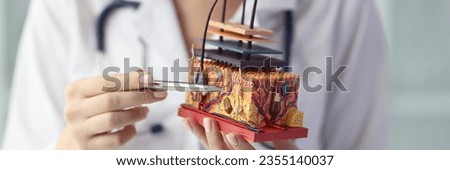 Close-up of female dermatologist holding artificial model of human skin with hair. Doctor showing skin diseases and hair loss symptoms Royalty-Free Stock Photo #2355140037