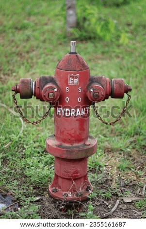 Hydrants are connection points where firefighters can utilize existing water supplies to extinguish fires.