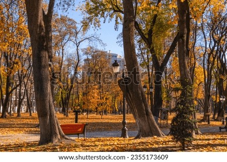 Autumn city park with empty benches, autumn colors, nature and peace, fall Royalty-Free Stock Photo #2355173609