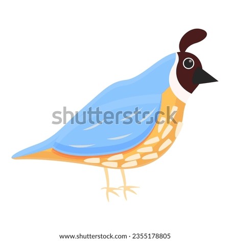 Cute quail icon. Cartoon of cute quail icon for web design isolated on white background