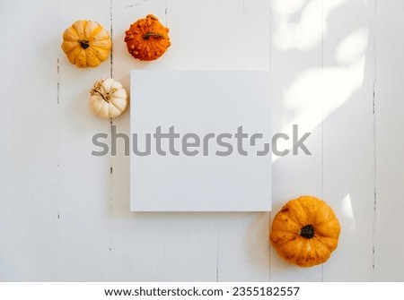 
Empty picture frame with autumn pumpkin decor on white wooden floor. Thanksgiving minimal flat lay podium background. Halloween table top view. Flat lay.