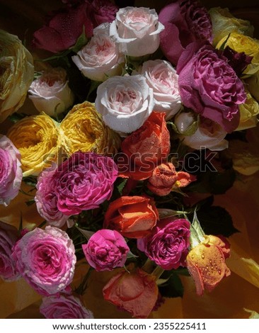 Bright pink and orange roses bouquet  on yellow paper background close up photo