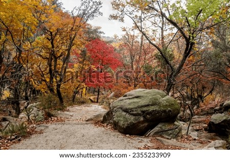 Beautiful fall foliage in mountain valleys and hiking trails
