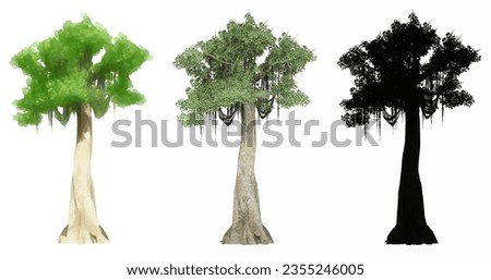 Set or collection of Kapok  trees , painted, natural and as a black silhouette on white background. Concept or conceptual 3d illustration for nature, ecology and conservation, strength, beauty
