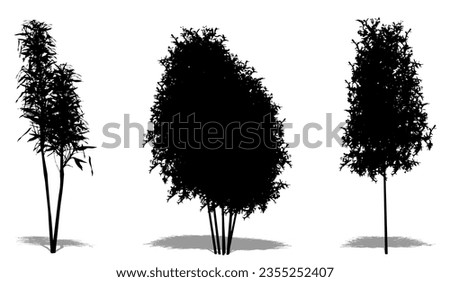 Set or collection of Bamboo trees as a black silhouette on white background. Concept or conceptual vector for nature, planet, ecology and conservation, strength, endurance and  beauty