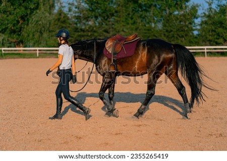 A helmeted rider leads her beautiful black horse by the harness in the riding arena during horseback ride Royalty-Free Stock Photo #2355265419