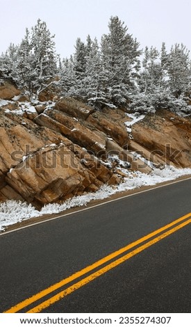 A vertical shot of an asphalt road in a forested area in winter