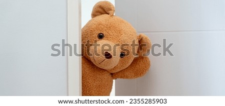 Cute brown Teddy bear toy sneak behind the door and surprise to congratulate the special day holiday festivals. game child, day care, welcome, kid day, shy childhood, party funny, stuffed doll