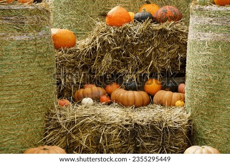 Close up Pumpkins on hay bale