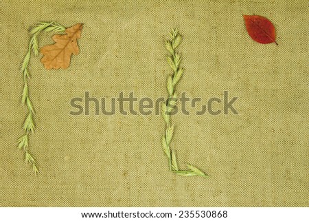Dry plants on green coarse cloth. Purchases for scrapbooking.
