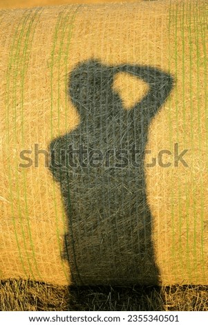 Photographer casts a shadow on a hay bale while taking a picture