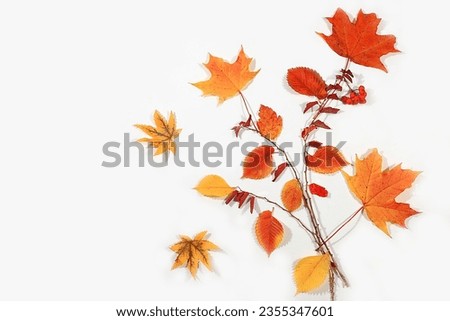 Autumn abstract composition with maple leaves, the concept of hello autumn, thanksgiving and seasonal background, banner or screensaver, congratulatory postcard or invitation with a place for text, 
