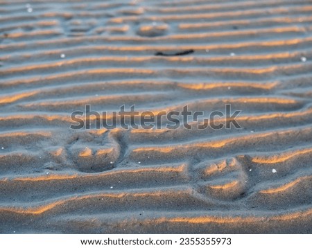 Two horse shoe prints on a ocean sand. Warm and cool sunset color. Selective focus. Symbol of luck imprinted on a beach by popular animal.