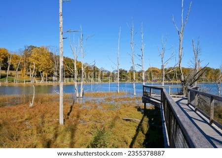 Tidal marsh and lookout in World’s End Hingham MA USA Royalty-Free Stock Photo #2355378887