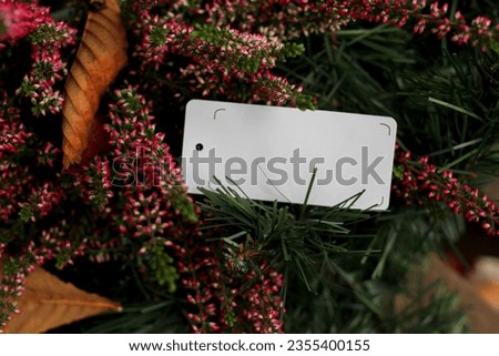 fall mood. autumn invitation card mockup with colorful leaves and berries. autumn decor