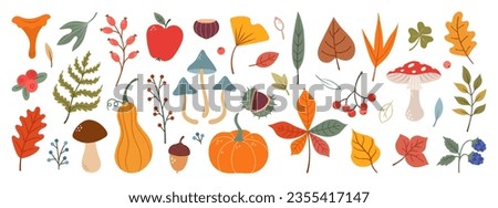 Hand drawn vector set autumn elements. Fall leaves, mushrooms, maple, acorns, berries, oak, pumpkins. Harvest time. Colored trendy illustration. Autumn floral stickers.  Royalty-Free Stock Photo #2355417147