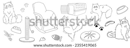 Pictures related to pets. A collection of symbols related to cats and home comfort. Set of flat vector illustrations of animals