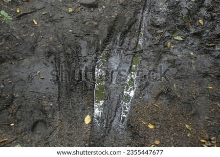 Muddy mountain bike tracks in trail in the forest Royalty-Free Stock Photo #2355447677