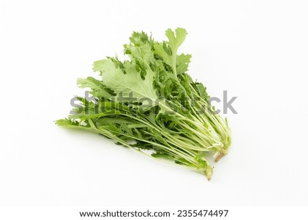 Mizuna on a white background.
Mizuna is a delicious vegetable with a crunchy texture.