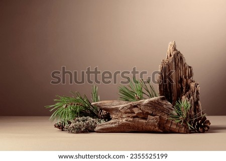 Abstract north nature scene with a composition of lichen, pine branches, and dry snags. Beige background for cosmetics, beauty product branding, identity, and packaging. Copy space.