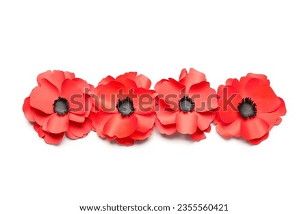 Red poppy flowers isolated on white background. Remembrance Day in Canada