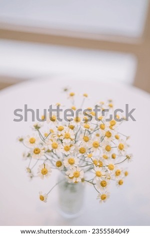 Flower decoration yellow white corner green caffee