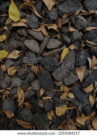 a photo of rocks with dry leaves 