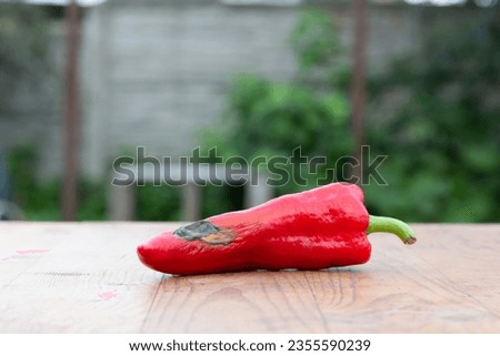 Rotten red pepper on the wooden table - stock photo