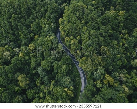 Aerial view road in the middle forest, Top view road going through green forest adventure, Ecosystem ecology healthy environment road trip travel net zero Royalty-Free Stock Photo #2355599121