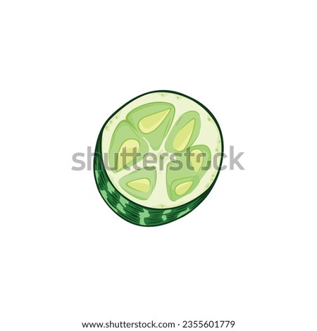 Vector illustration of a half cutted mouse melon isolated on white background