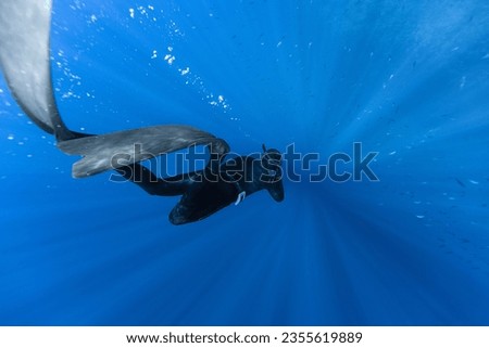 Freediver Swimming in Deep Sea With Sunrays. Young Man DIver Eploring Sea Life. Royalty-Free Stock Photo #2355619889