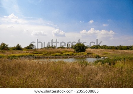 Panorama with a lake and few trees and grasses. High quality photo