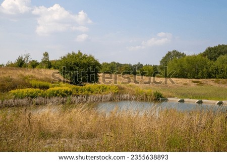 Panorama with a lake and few trees and grasses. High quality photo