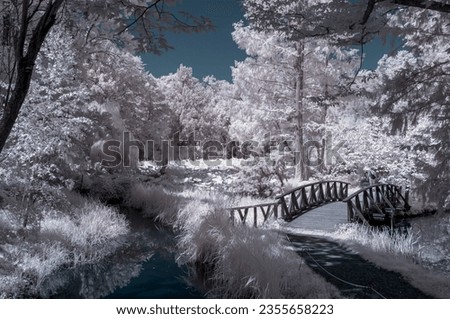 Infrared view from Vacratot Botanical garden Hungary