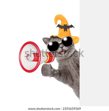 Happy cat wearing hat for halloween talks into megaphone and looks from behind empty white banner. isolated on white background
