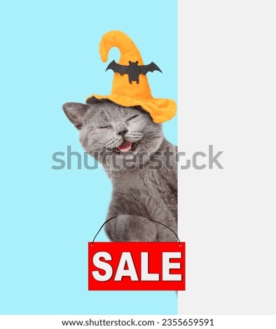 Happy cat wearing hat for halloween looks from behind empty white banner and shows signboard with labeled "sale". Isolated on blue background