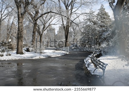 New york EEUU sumer winter snow