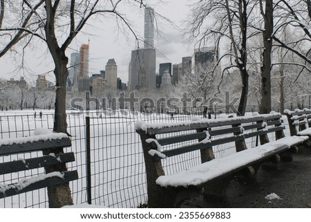 New york EEUU sumer winter snow