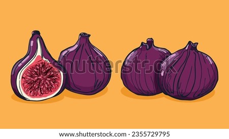 Set of Fig fruit, Vector illustration in one line sketch style, flat hand drawn sketch, Colorful fruit with shadow and light, isolated on colored background.