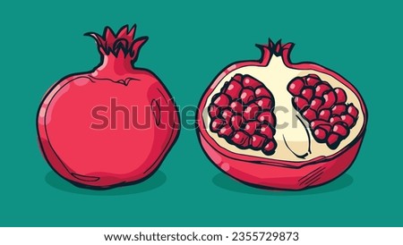 Set of Pomegranate fruit, Vector illustration in one line sketch style, flat hand drawn sketch, Colorful fruit with shadow and light, isolated on colored background.