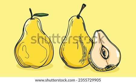 Set of Pear fruit, Vector illustration in one line sketch style, flat hand drawn sketch, Colorful fruit with shadow and light, isolated on colored background.
