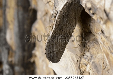 close up macro photo shoot of a piece of wood wallpaper