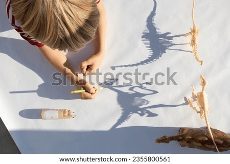 child traces with a pencil contrasting shadows from the skeletons of toy dinosaurs. drawing by a primary school student, passion for paleontology, ideas for children's creativity