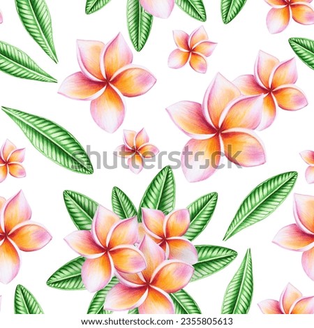 Watercolor seamless pattern with realistic tropical illustration of plumeria flowers with leaves isolated on white background. Beautiful botanical hand painted frangipani clip art. For designers, spa