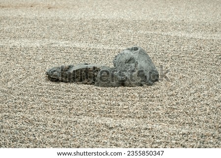 just a rock with nothing else